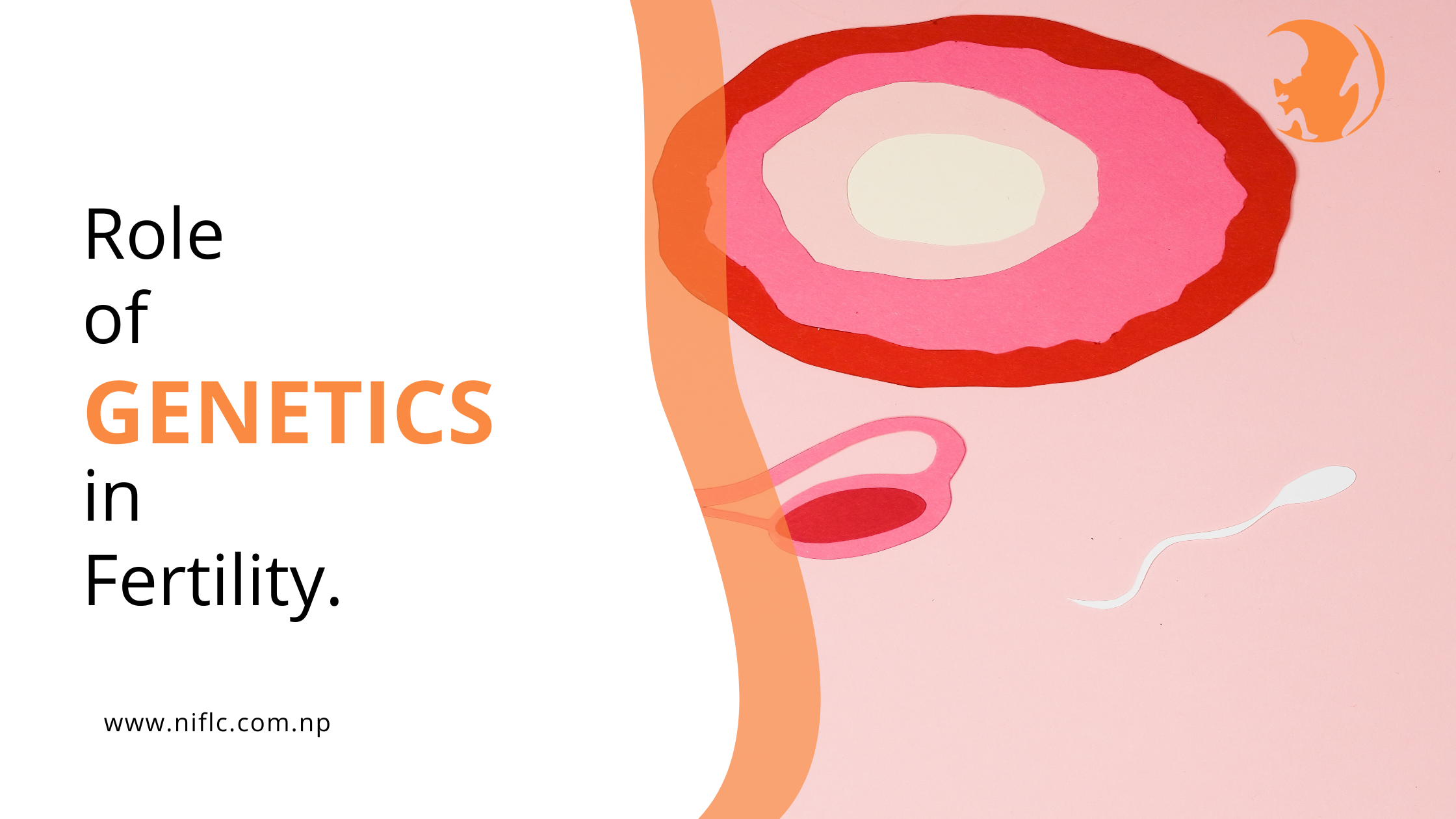 Genetics and fertility testing for couples