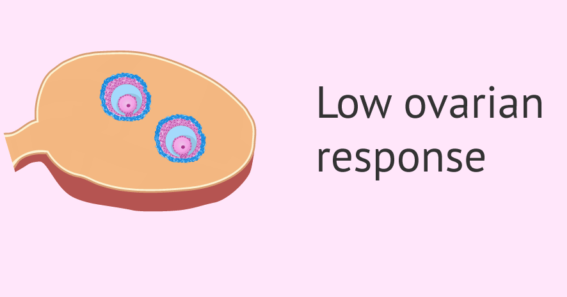 Ovarian reserve and fertility assessment