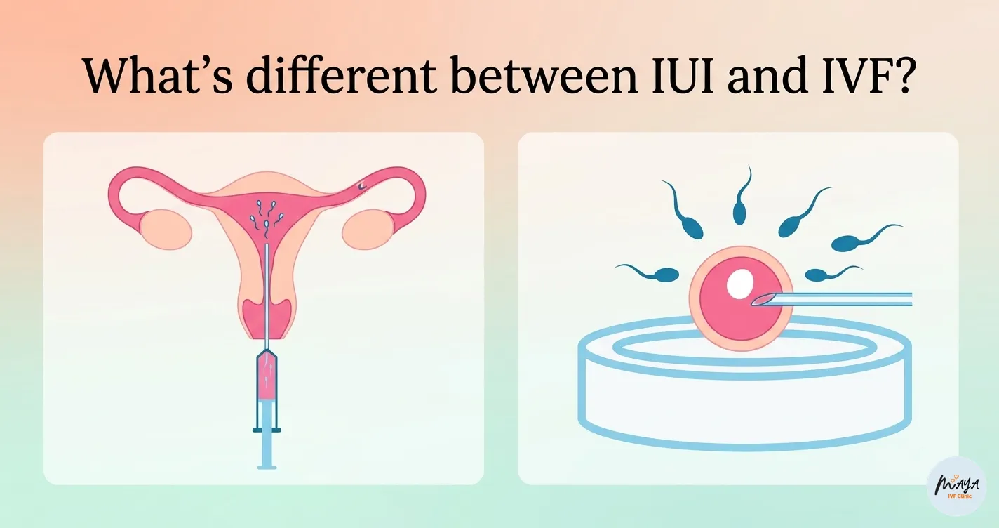 different between iui and ivf