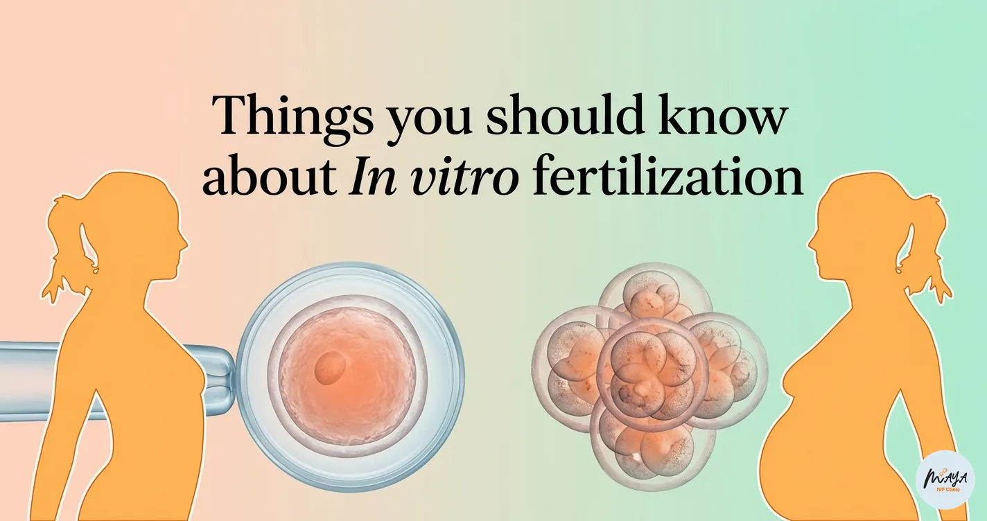 things you should know about in vitro fertilization